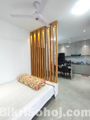 Comfort Luxio – Fully Furnished 2-Room Studio Apartment
